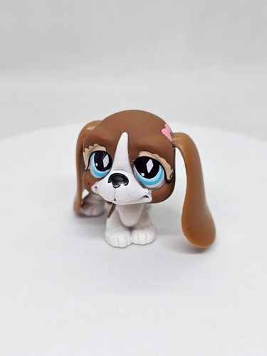 Basset hound 502 littlest - #502, pet