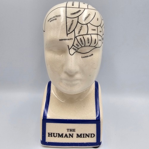 Phrenology head bust ceramic - head,