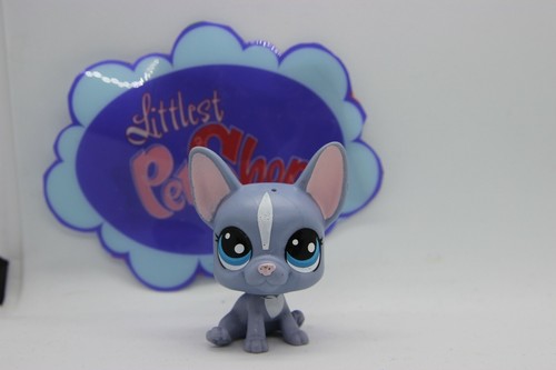 Petshop french bulldog dog - french,