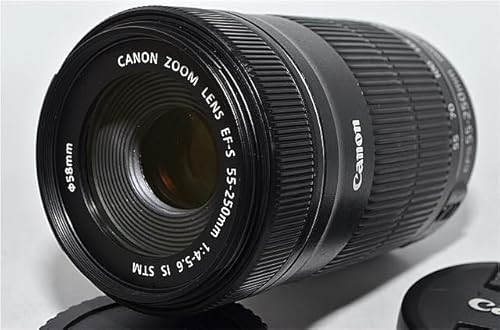Canon 250mm 4 - ef-s, 55-250mm