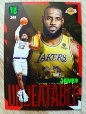 LEBRON JAMES (LA Lakers)