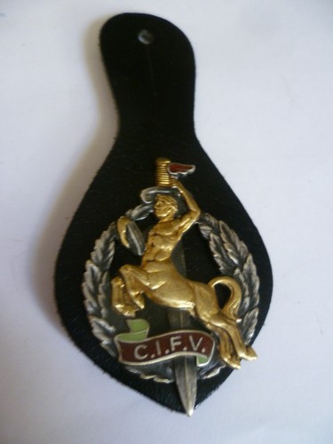 Ancien insigne pucelle - insigne,