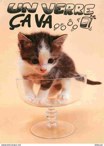 Carte postale animaux - carte,