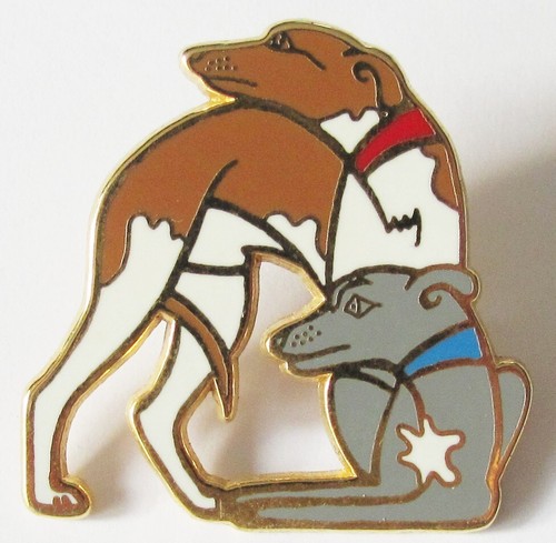 Pin chien whippet - chien, fauve