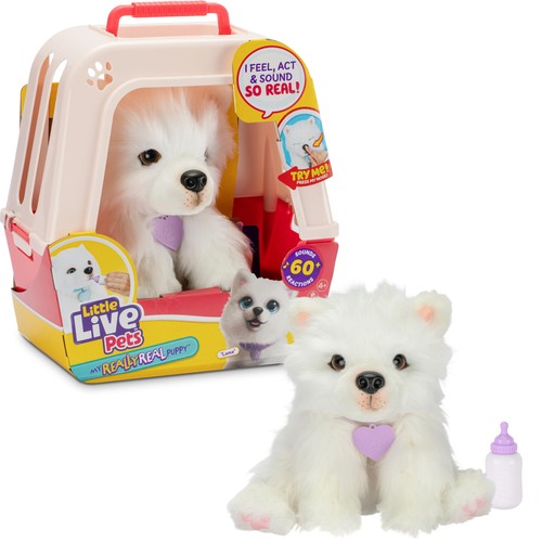 Llp really real puppy - my, luna