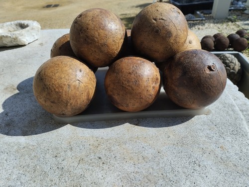 Boules bois lot - en,