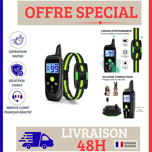 Collier dressage chien - collier, de