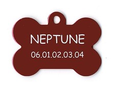 medaille gravee chien ou chat