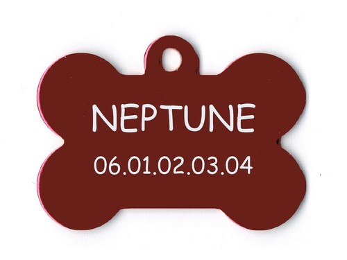 Medaille gravee chien chat - gravee,