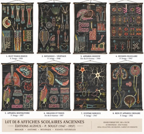 Lot affiches scolaires - lot, de