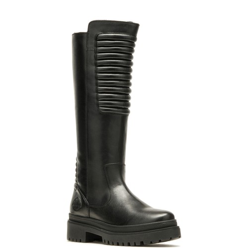 Harley davidson kamton non - kamton,