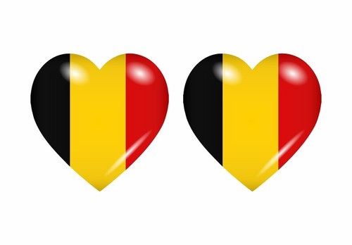 Autocollant sticker drapeau - 2x,