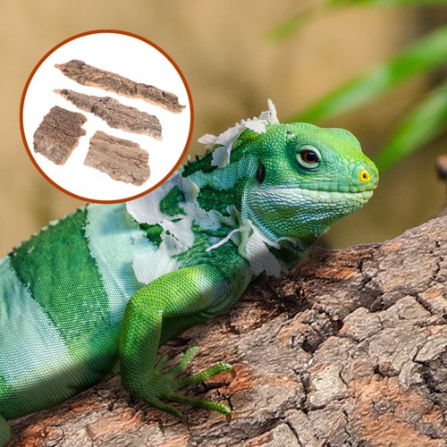 Pcs écorce reptiles - 4,