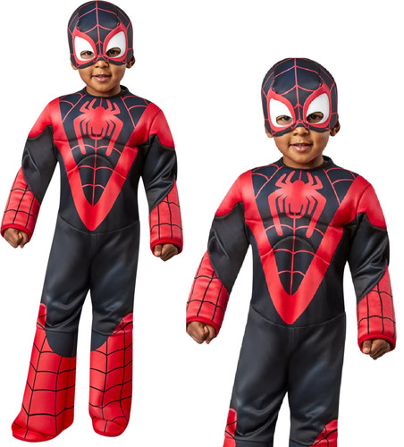 Costume fantaisie spiderman - costume,