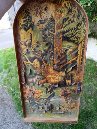 Flipper année - ,