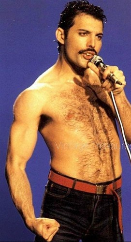 Freddie mercury rocking - mercury, on