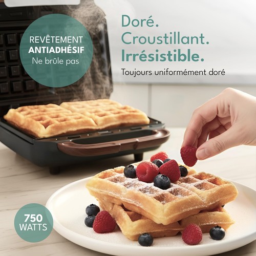 Appareil croque monsieur - appareil,