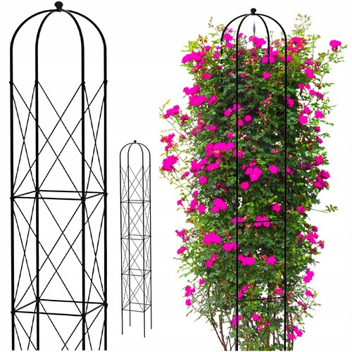 Jardin terrasse pergola - jardin,