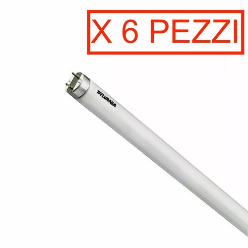 Neon sylvania white - pz,