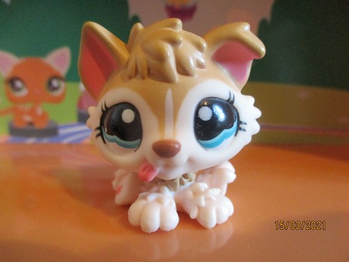 Petshop chiot husky - chiot,