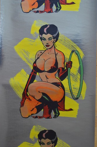 Papier peint vintage allen - papier,