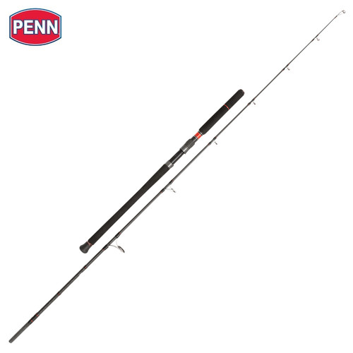 Penn saltwater spinning rod - saltwater,