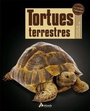 Tortues terrestres : testudo