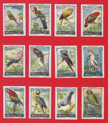 Poster stamps parrots cacatoes - poster,