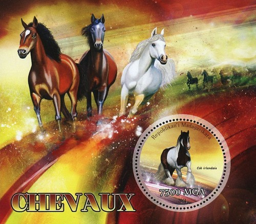 Horse animal irish cob - horse,