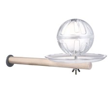 Jouet Calopsitte Accessoires