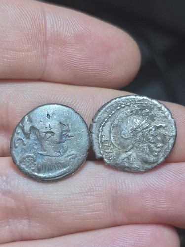 176 république romaine - république,