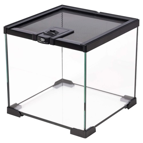 Terrarium verre noir - verre,