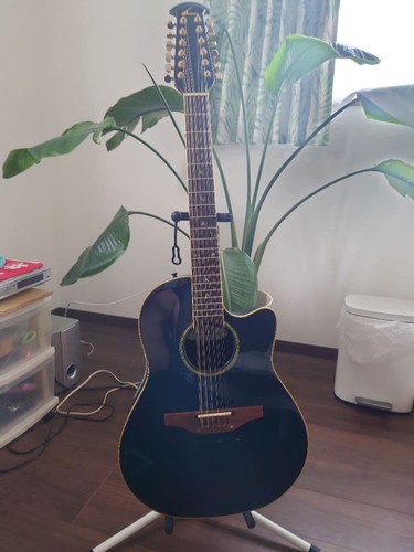 Guitare acoustique électrique