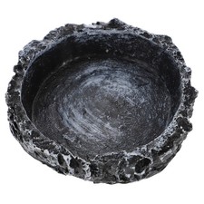  Bol De Nourriture Pour