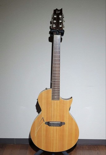 Guitare acoustique esp ltd - guitare,