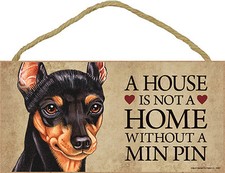 Miniature Pinscher Intérieur