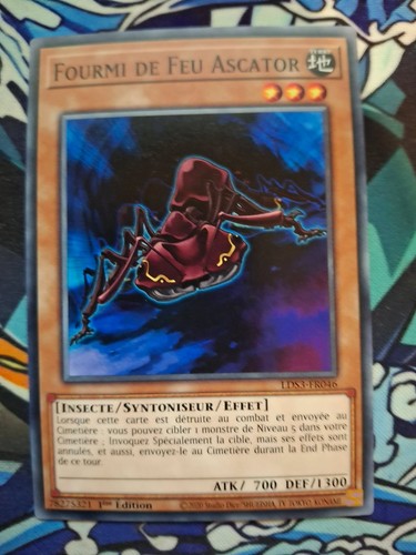 Carte fourmi de - yu-gi-oh,