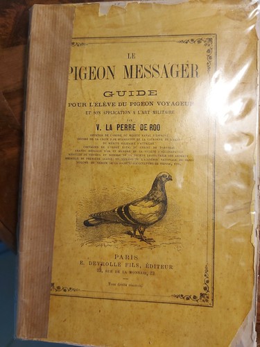Pigeon messager guide - messager, ou