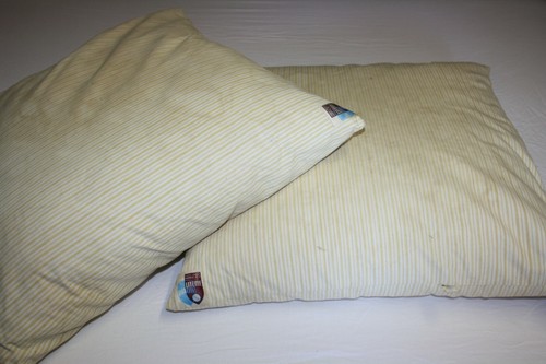 Paire coussins oreillers - paire,
