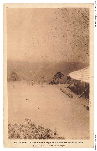 Bbdp10 1039 cameroun dschang - -,