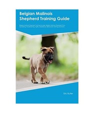 Belgian Malinois Shepherd