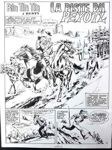 Marcello rintintin planche - :,
