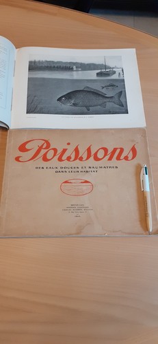 Rentiers 1913 poissons eaux - rentiers,