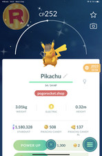 Shiny Pikachu Detective Hat Costume Go Reg or 1M