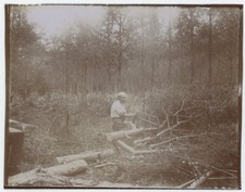 Bûcheron, forêt, Loiret ou