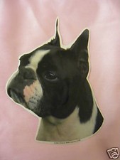 GRAND AUTOCOLLANT - motif chien Tête  BOSTON TERRIER