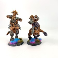 x2 Centaure Plastique