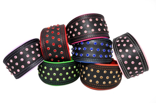 Collier pour chien chiens - collier,