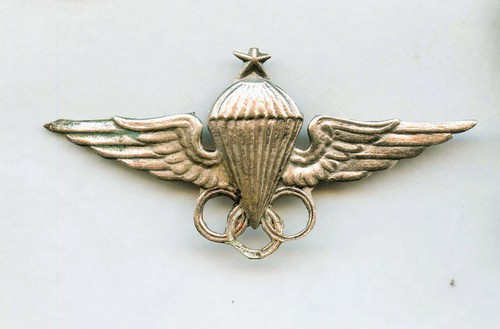Parachutiste egypte brevet - ,