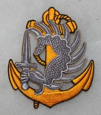 insigne parachutiste colonial tissu ,para, commando, TAP 